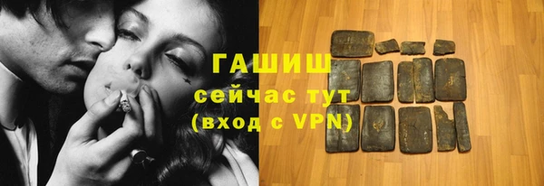 молекула духа Снежногорск