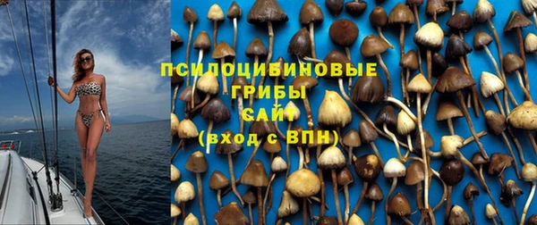 2c-b Лихославль